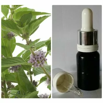 25 Натуральное 100% эфирное масло без добавок Мята перечная Mentha Piperita